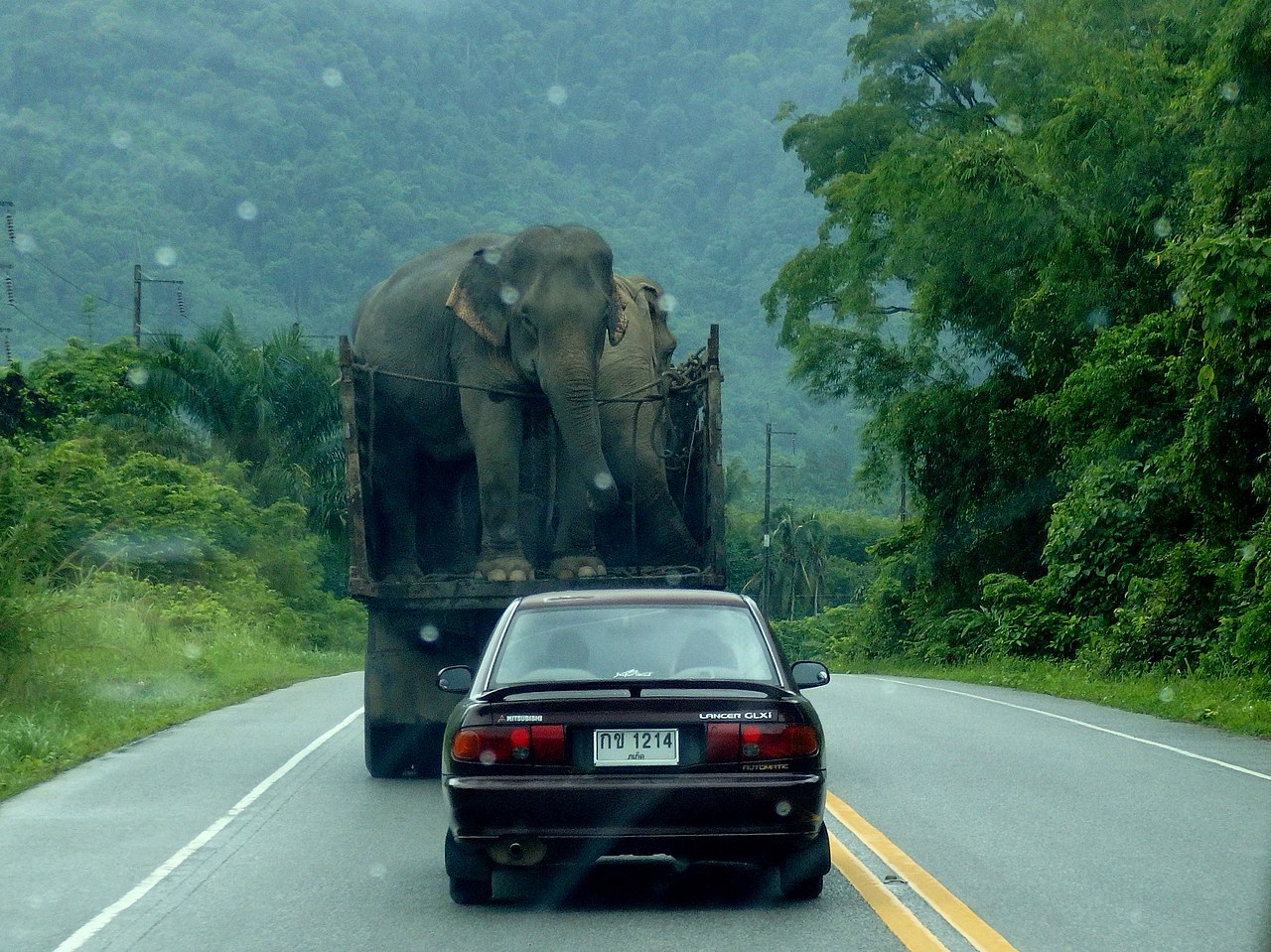 Road in Bang Nai Si, Takua Pa District, Phang-nga.