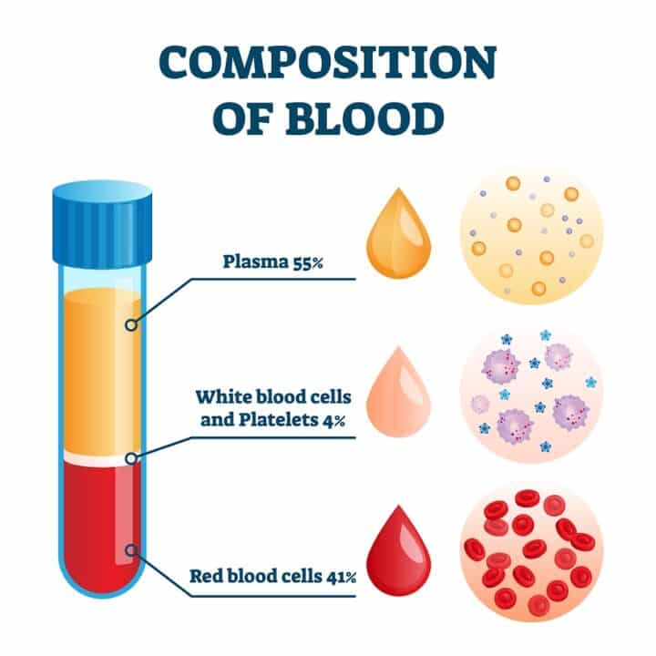 Composition of blood.