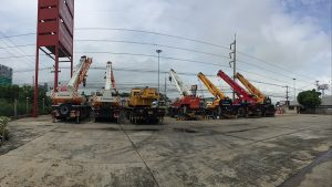 Cranes in Khlong Nung, Pathum Thani province