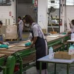 Rising number of factory closures points to bleak future for Thai industries