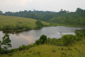 Lake in Khao Yai National Park, Thailand.