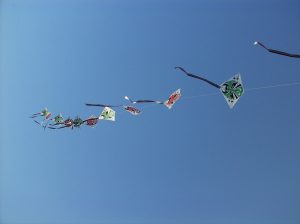 Connected kites