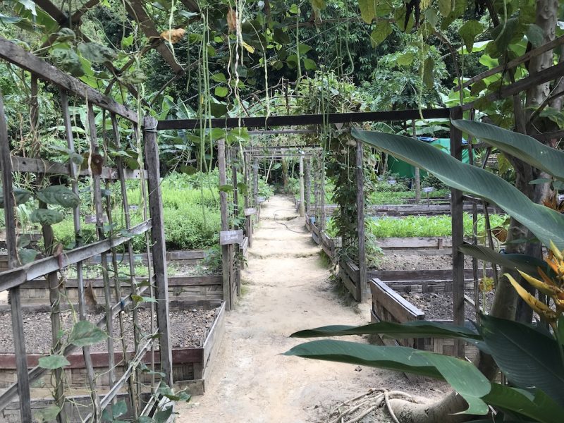 Resort garden in Mergui archipelago