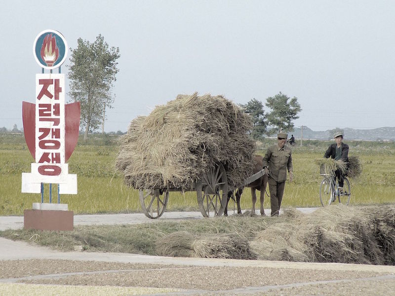 Chonsam Cooperative Farm