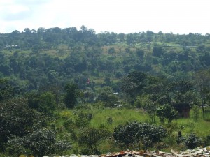 View of the Preah Vihear Temple