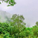 Smoke haze on a forest in Thailand