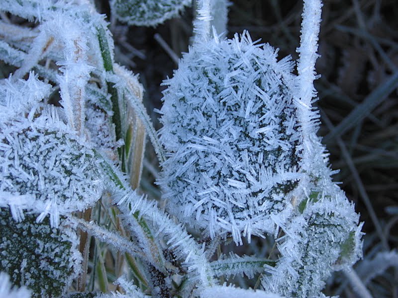 Ice crystals