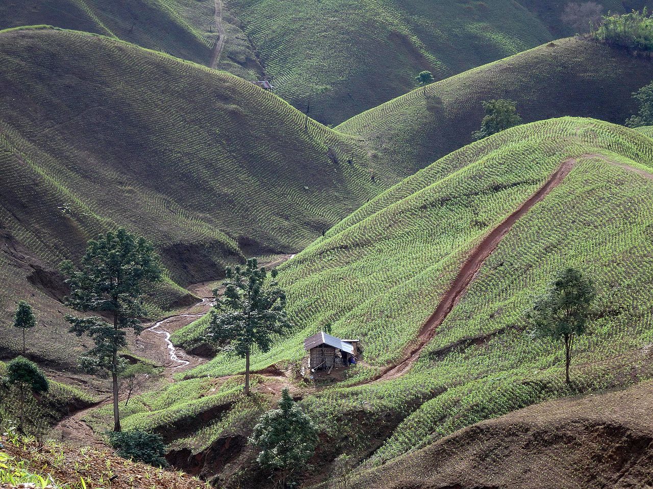 Hills in Uan, Pua District, Nan, Thailand