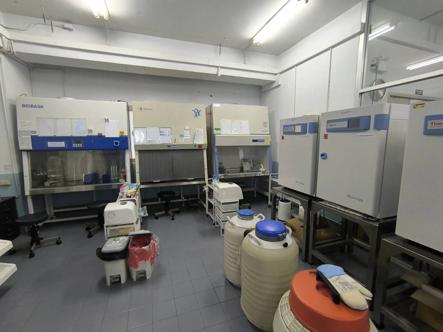 Veterinary Pharmacology and Stem Cell Research Laboratory, Faculty of Veterinary Science, Chulalongkorn University.