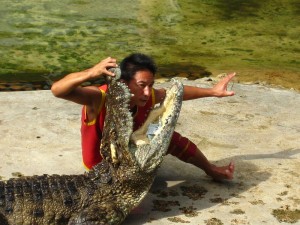 Crocodile show at Sriracha Tiger Zoo in Chonburi