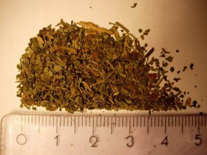 Drugs, Salvia divinorum