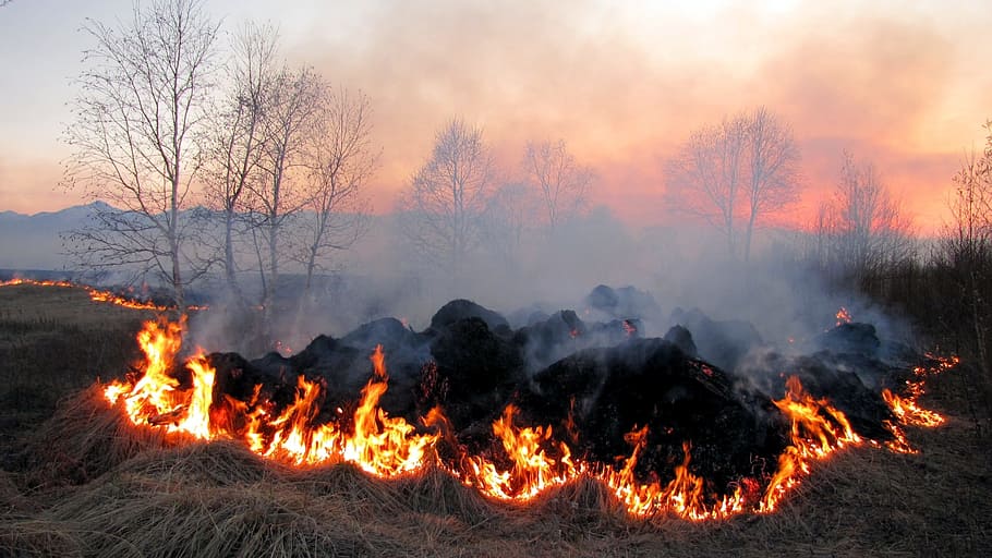 Thai authorities burning seized drugs.